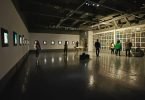 FELIX AFTENE - show multicultural, la Muzeul Național de Artă Contemporană