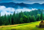 Vatra Dornei, stațiunea montană din inima Bucovinei, devine cu adevărat atractivă în sezonul rece. Orașul oferă o atmosferă perfectă pentru o vacanță de iarnă, îmbinând tradițiile vechi cu peisaje montane impresionante și activități diverse.