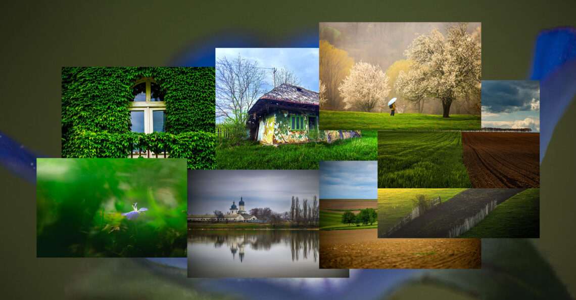 Primăvara în imagini surprinde o simetrie aproape perfectă a naturii, o armonie care pare să reveleze, în fiecare cadru, perfecțiunea Creatorului. Verdele crud, florile de sezon abia ieșite la lumină, ogoarele proaspăt semănate și copacii înmuguriți se împletesc cu instantanee autentice din satul nemțean de astăzi.