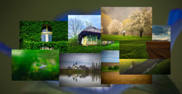 Primăvara în imagini surprinde o simetrie aproape perfectă a naturii, o armonie care pare să reveleze, în fiecare cadru, perfecțiunea Creatorului. Verdele crud, florile de sezon abia ieșite la lumină, ogoarele proaspăt semănate și copacii înmuguriți se împletesc cu instantanee autentice din satul nemțean de astăzi.